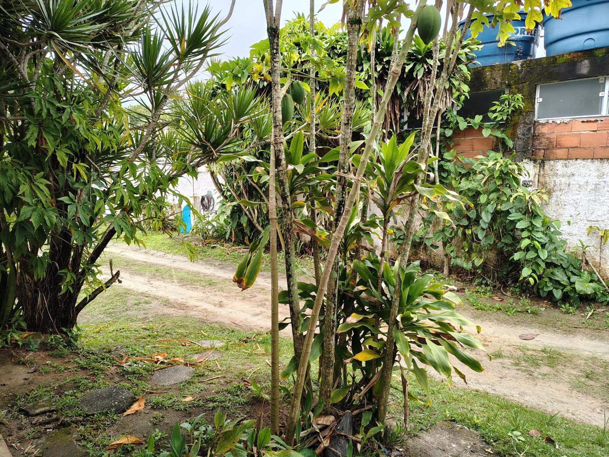 Pousada Lambaris Pereque Guarujá Extérieur photo
